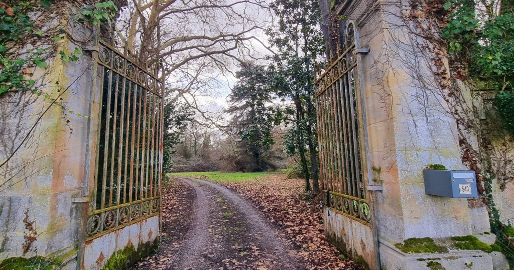 2000x2000-orientation-0deg