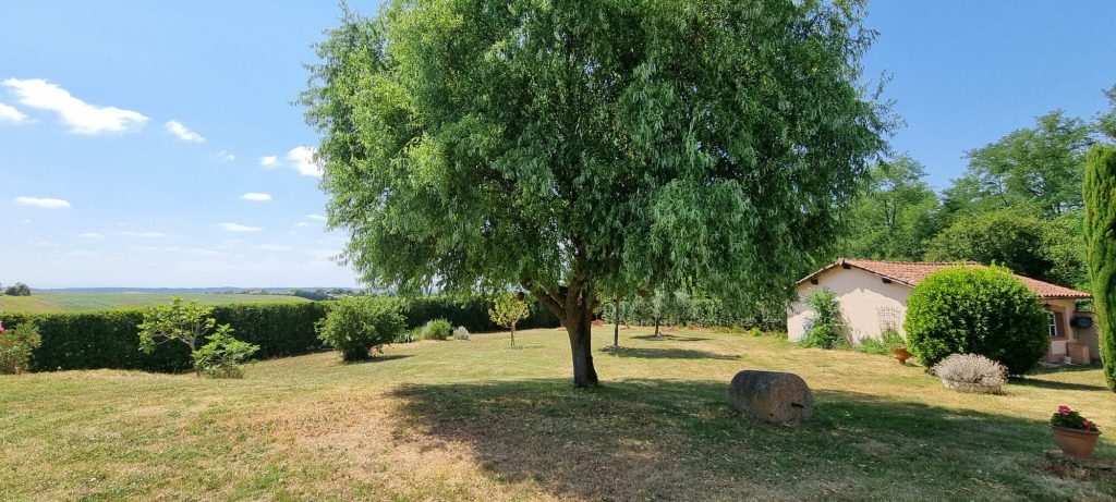 2000x2000-orientation-0deg (94)